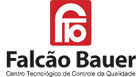 Falcão Bauer